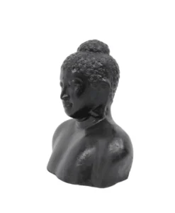 Boeddha torso