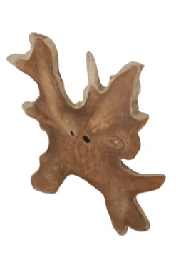 Boomstal schijf wortel teak schijf