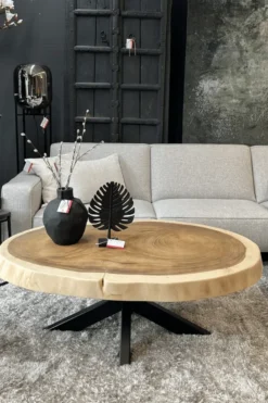 Boomstam salontafel met metalen poot