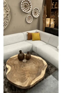 boomstam salontafel van suarhout