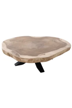 boomstam salontafel van suarhout