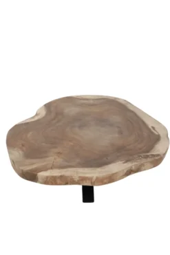 boomstam salontafel van suarhout