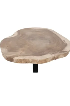 boomstam salontafel van suarhout