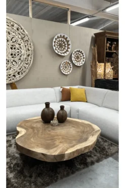 boomstam salontafel van suarhout
