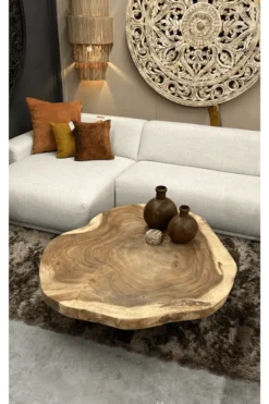 boomstam salontafel van suarhout