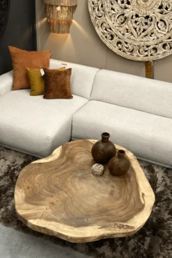 boomstam salontafel van suarhout