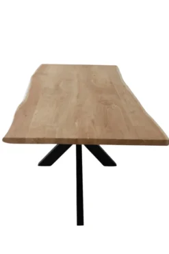 Boomstamtafel