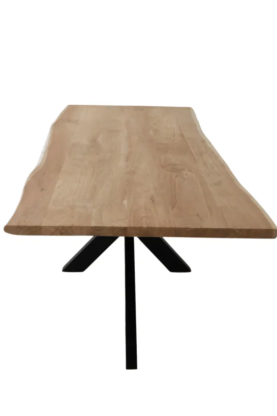 Boomstamtafel