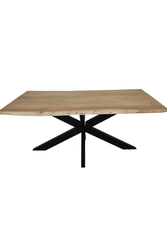 Boomstamtafel