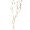 Decoratieve boom