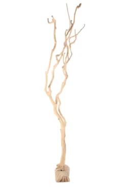 Decoratieve boom