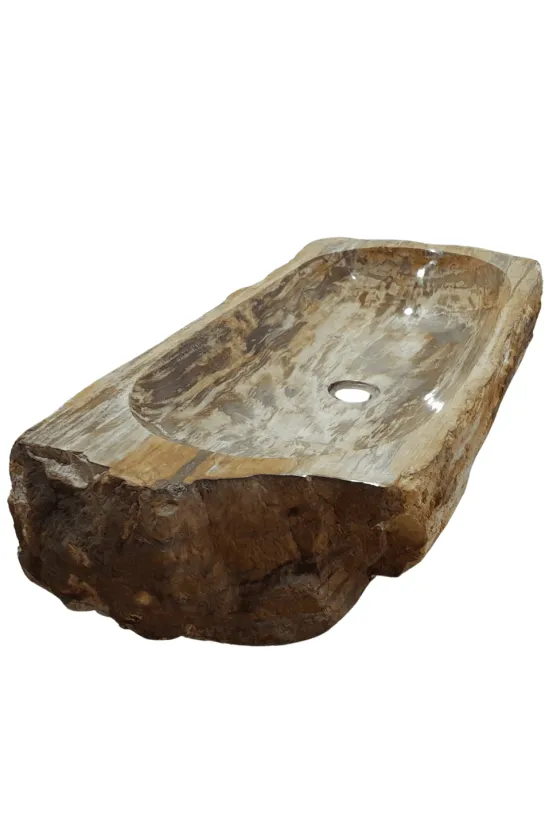 Fossiele Versteend Houten Wasbak