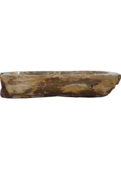 Fossiele Versteend Houten Wasbak