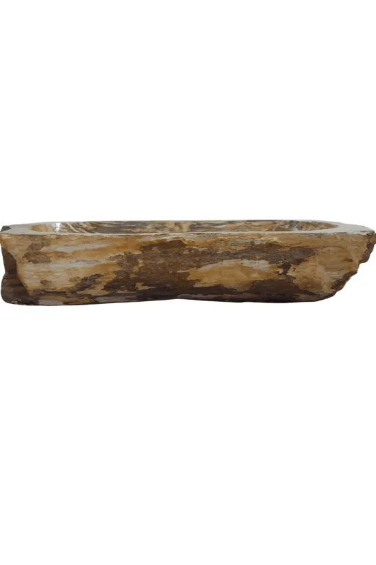 Fossiele Versteend Houten Wasbak