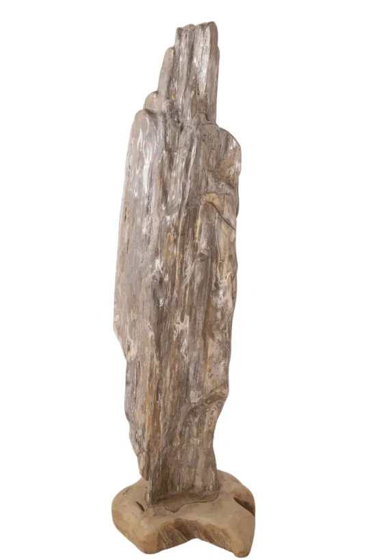 Grote versteend houten stronk – Kunstwerk