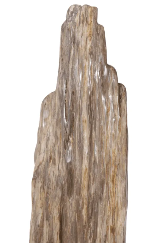 Grote versteend houten stronk – Kunstwerk