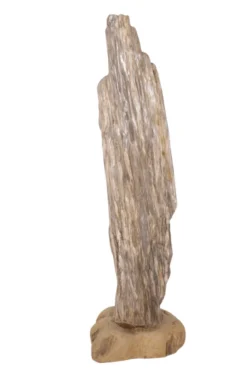 Grote versteend houten stronk – Kunstwerk