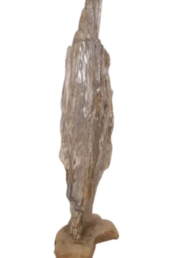 Grote versteend houten stronk – Kunstwerk