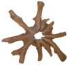 Grote wortel teak schijf
