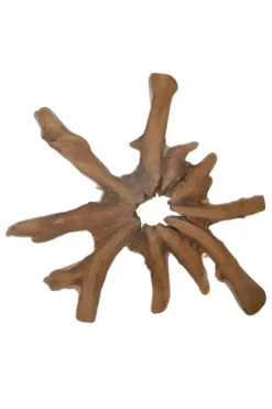 Grote wortel teak schijf