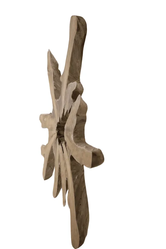 Grote wortel teak schijf