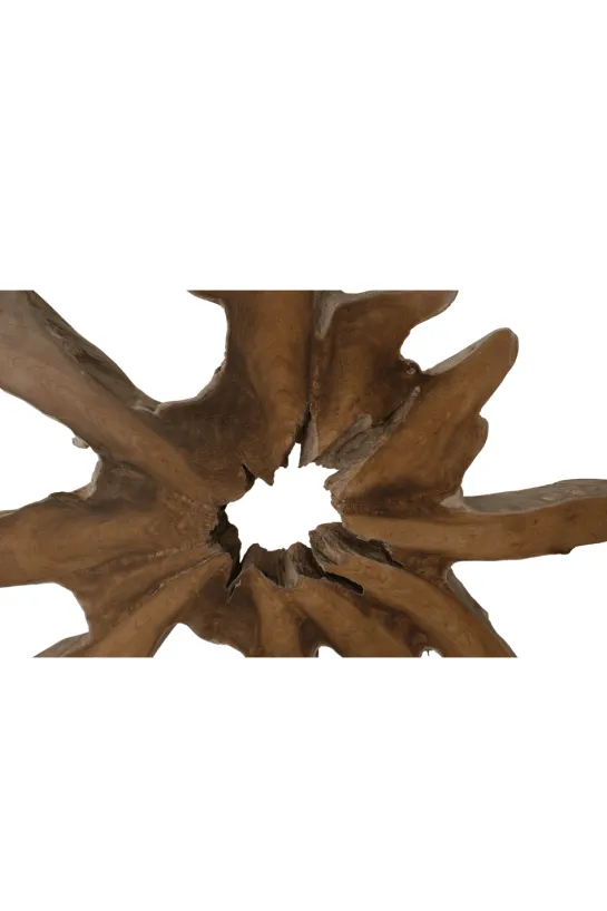 Grote wortel teak schijf