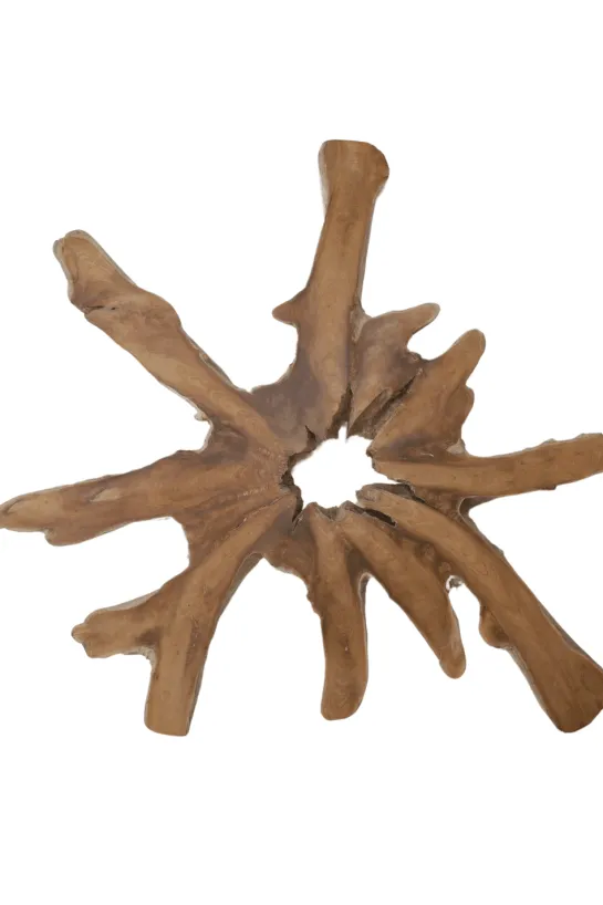 Grote wortel teak schijf