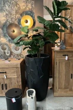 Grote zwarte bloempot