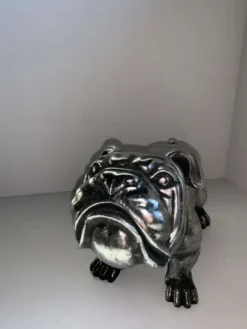 Hond