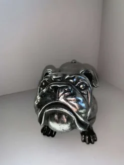 Hond
