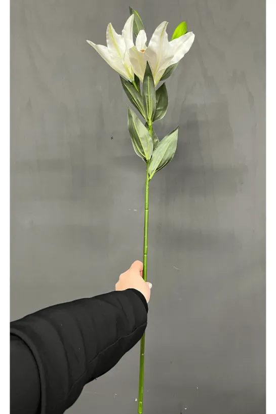 Kunst Lelie