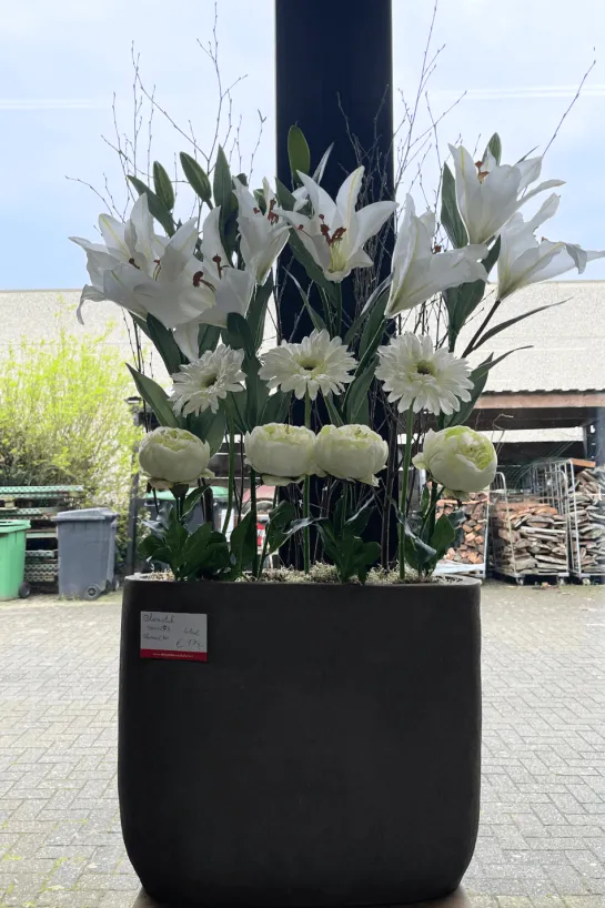 Kunst Lelie