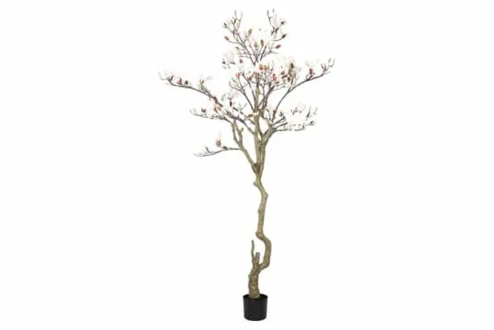 Magnolia kunstboom