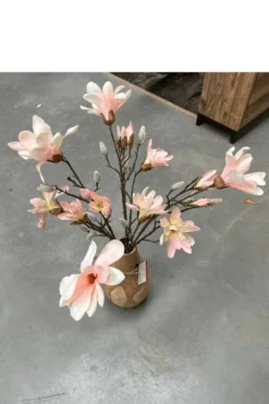 Magnolia tak