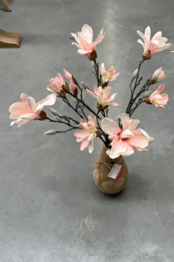 Magnolia tak