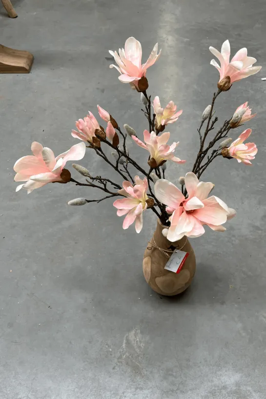 Magnolia tak