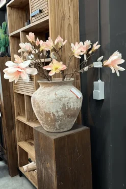 Magnolia tak