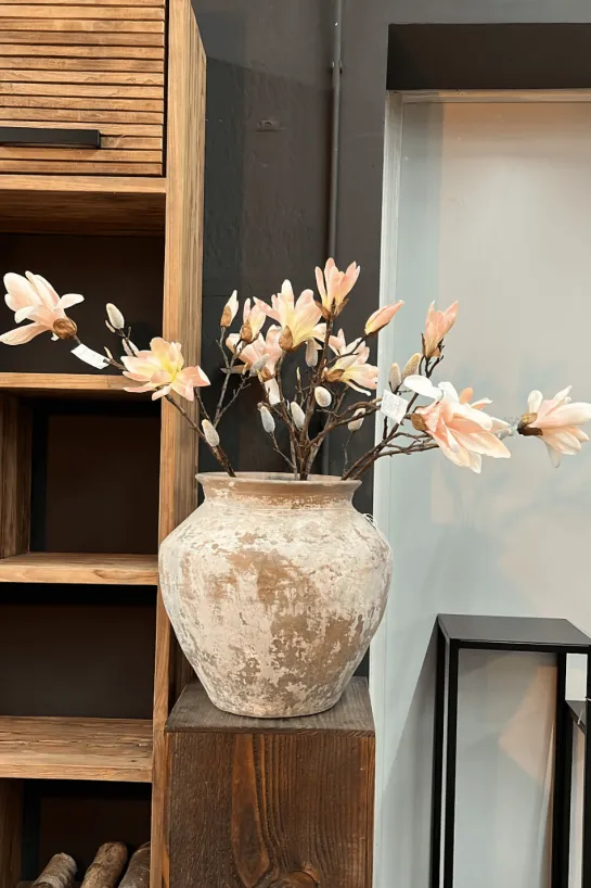 Magnolia tak