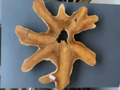 Mooie wandbekleding: teakhouten schijf