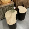 Organische Salontafels van Mango Hout met Travertin Blad set van 2