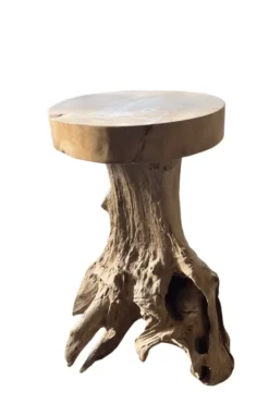 Pilaar Wortel Teak