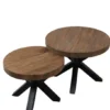 Ronde salontafel set teak met metaal
