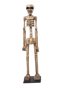 skelet halloween decoratie