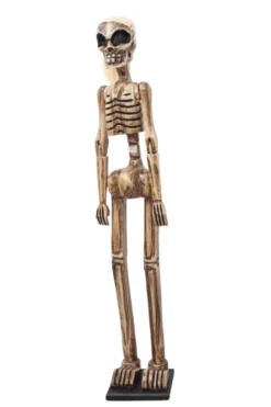 skelet halloween decoratie
