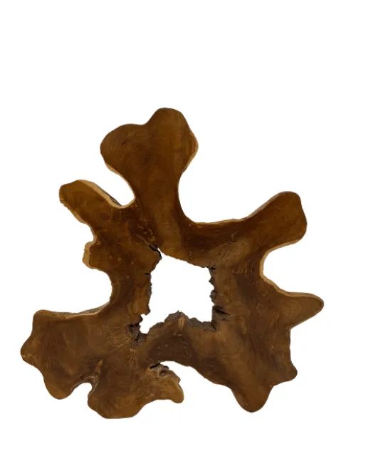 Teakhouten wanddecoratie wortel