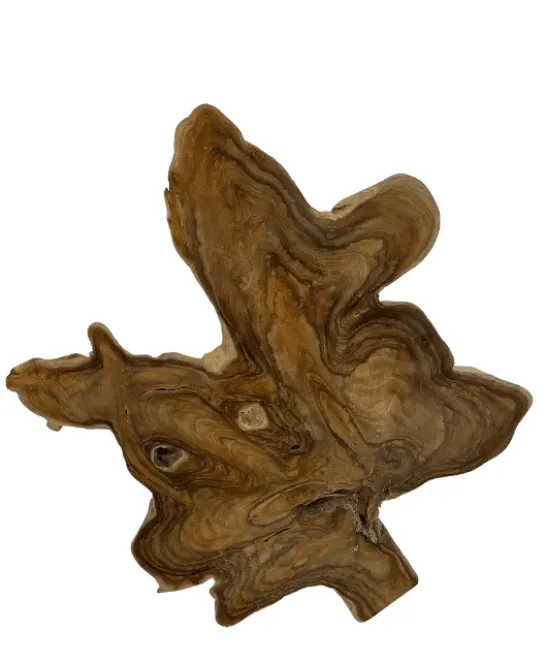 Teakhouten wanddecoratie wortel