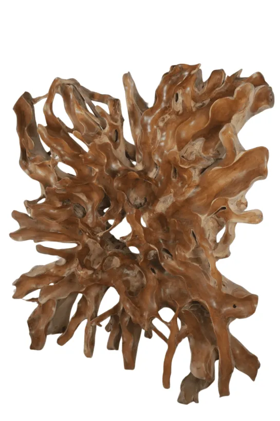 Teakhouten wortel wanddecoratie 200x45x200 cm vierkant