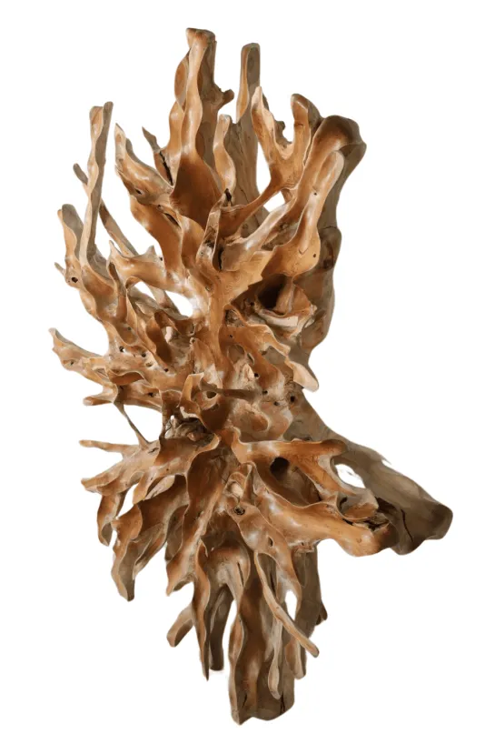 Teakhouten wortel wanddecoratie 200x40x200 cm rond