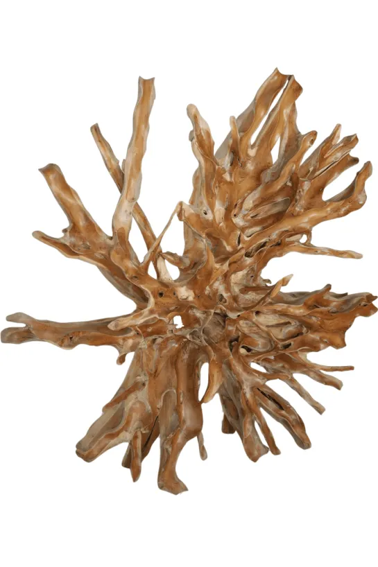 Teakhouten wortel wanddecoratie 200x40x200 cm rond