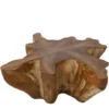 Unieke Wortel Teak Salontafel – Stervorm